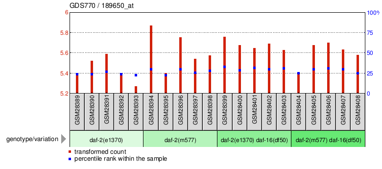 Gene Expression Profile