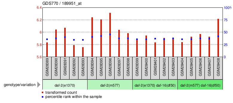 Gene Expression Profile