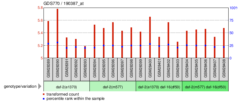 Gene Expression Profile