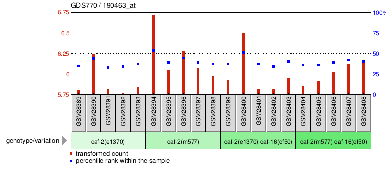 Gene Expression Profile