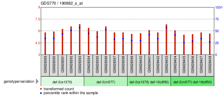 Gene Expression Profile