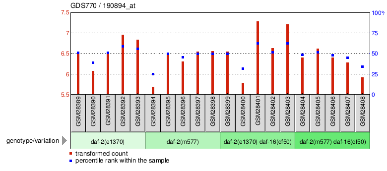 Gene Expression Profile