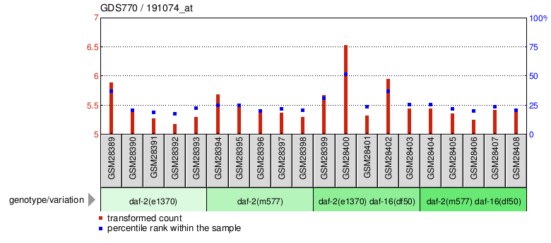 Gene Expression Profile