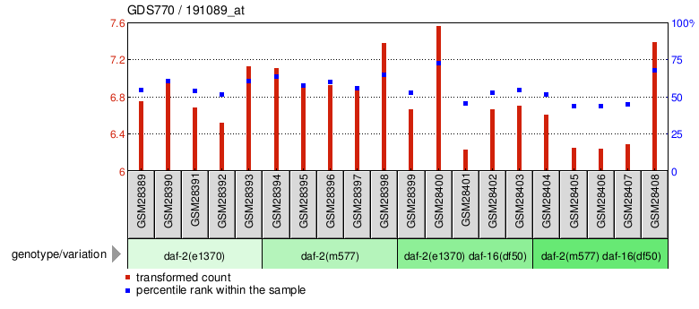 Gene Expression Profile