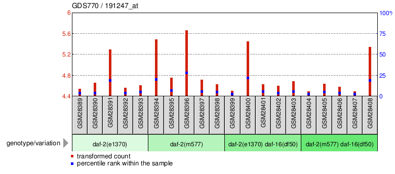 Gene Expression Profile