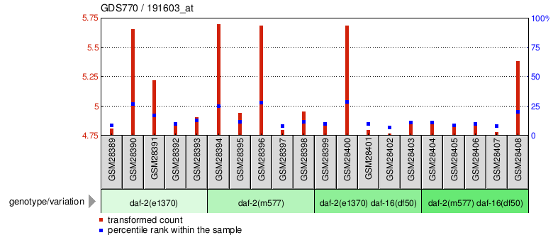 Gene Expression Profile