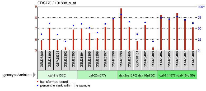 Gene Expression Profile