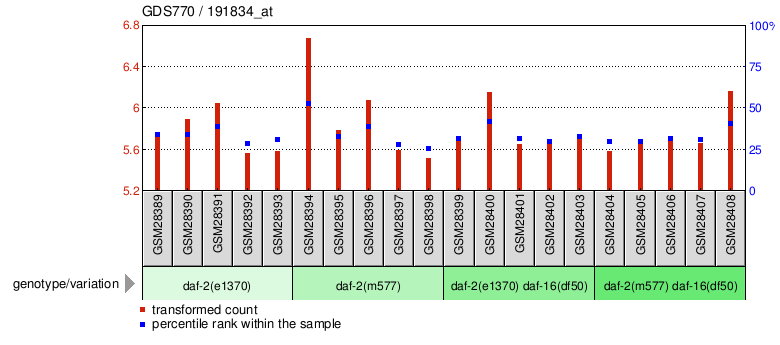 Gene Expression Profile