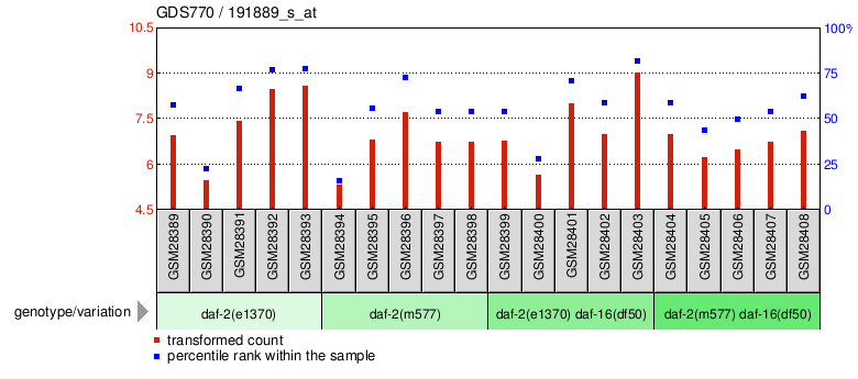 Gene Expression Profile