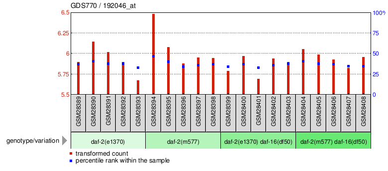 Gene Expression Profile