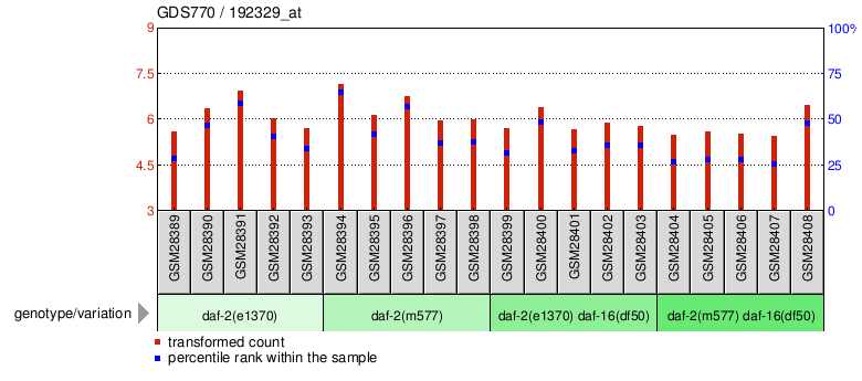 Gene Expression Profile