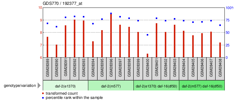 Gene Expression Profile