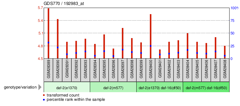 Gene Expression Profile