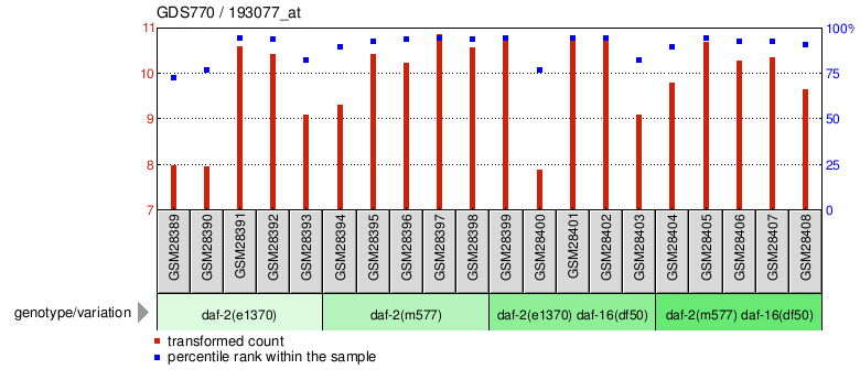 Gene Expression Profile