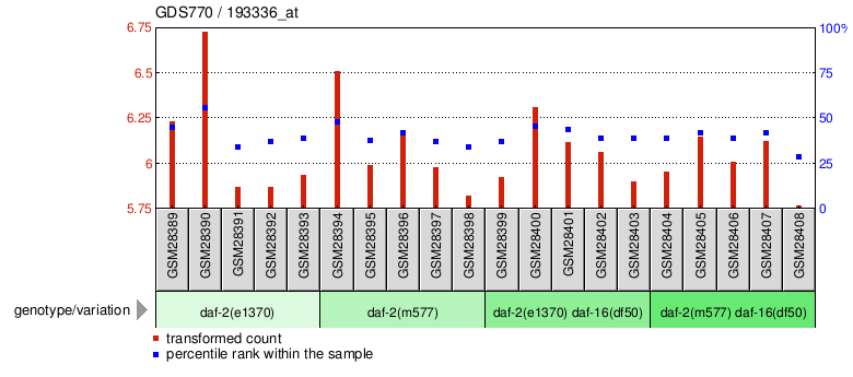 Gene Expression Profile