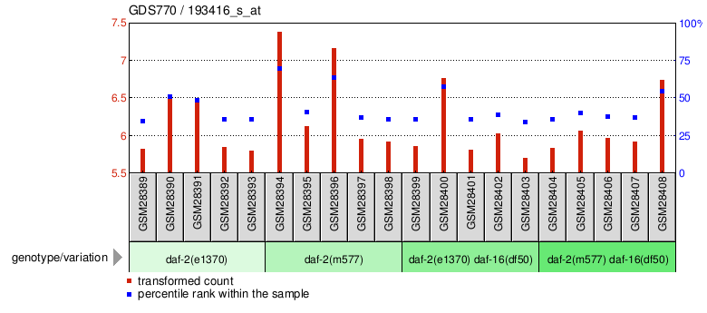 Gene Expression Profile