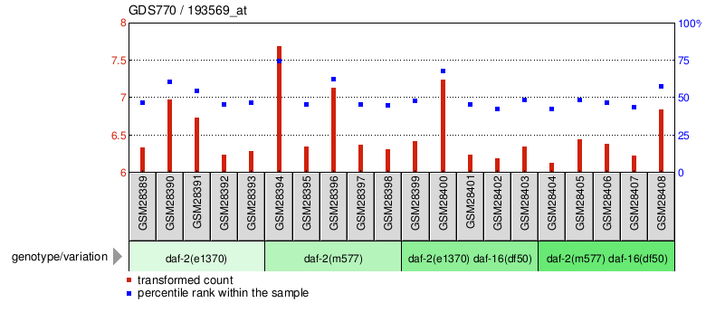 Gene Expression Profile