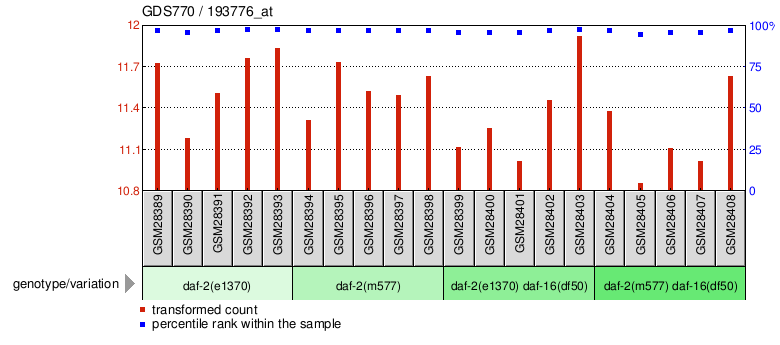 Gene Expression Profile