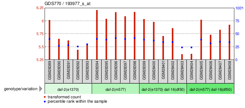 Gene Expression Profile