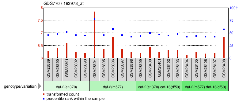 Gene Expression Profile