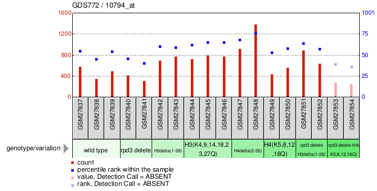 Gene Expression Profile