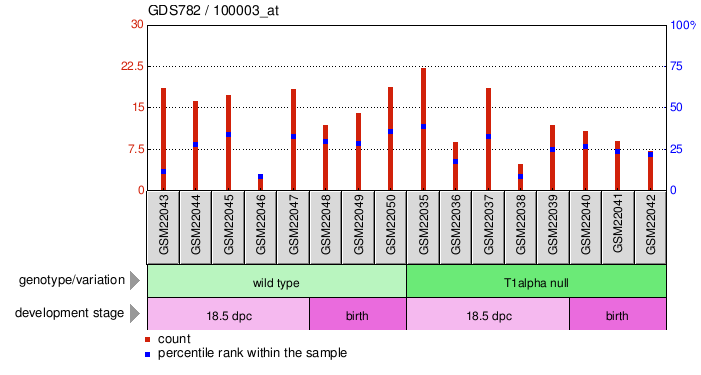 Gene Expression Profile