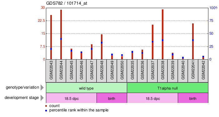 Gene Expression Profile