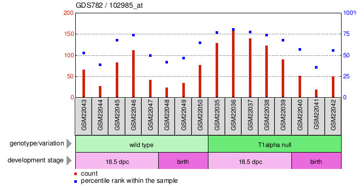 Gene Expression Profile