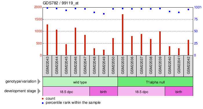 Gene Expression Profile