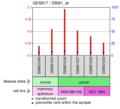 Gene Expression Profile