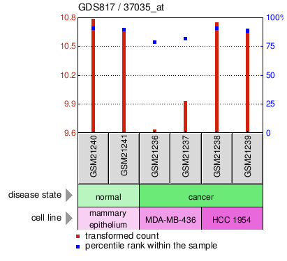 Gene Expression Profile