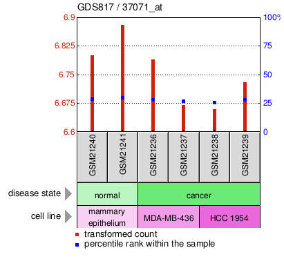 Gene Expression Profile