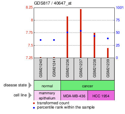 Gene Expression Profile