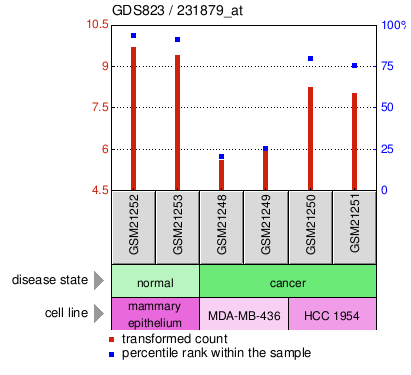 Gene Expression Profile