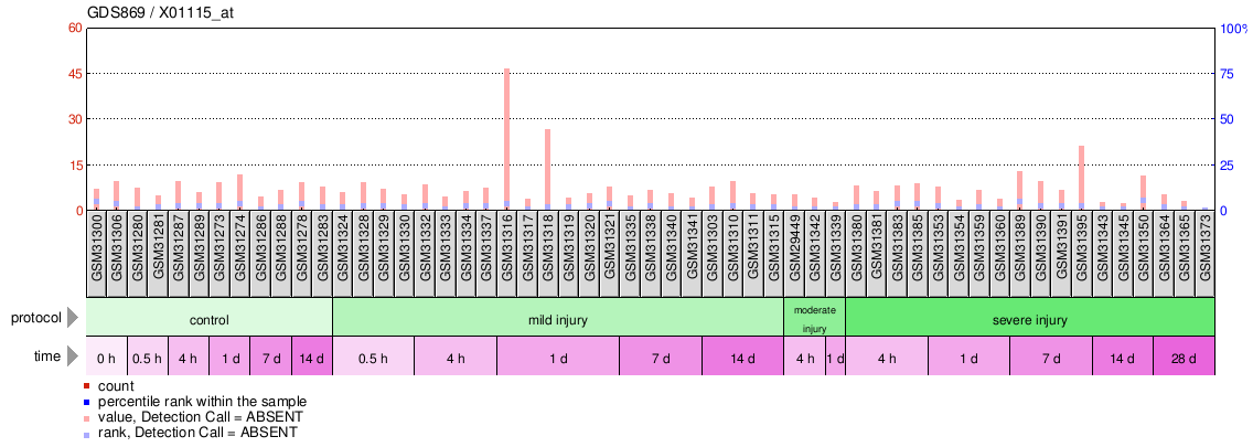 Gene Expression Profile