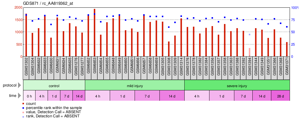 Gene Expression Profile