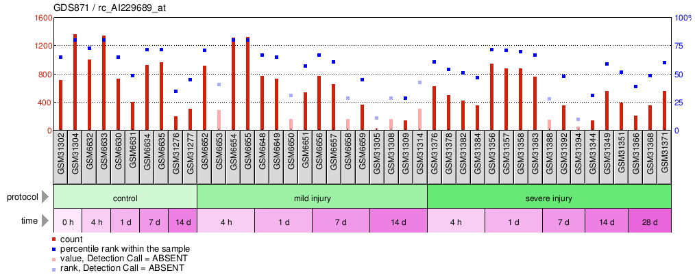 Gene Expression Profile