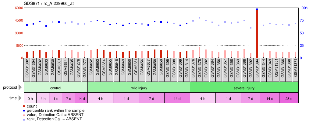 Gene Expression Profile