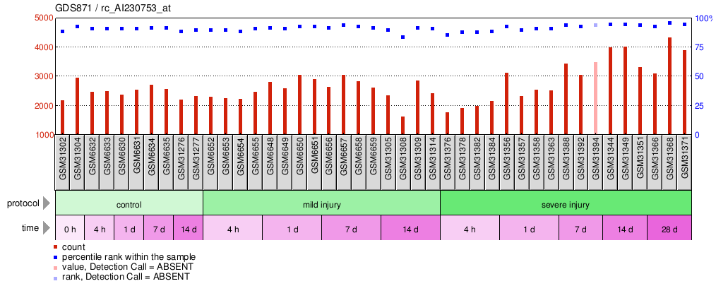 Gene Expression Profile