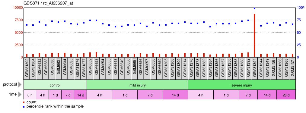 Gene Expression Profile