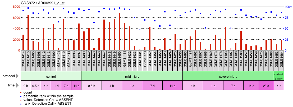 Gene Expression Profile