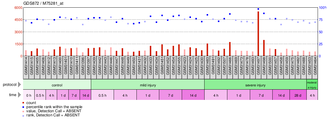 Gene Expression Profile