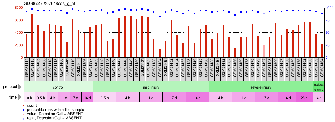 Gene Expression Profile