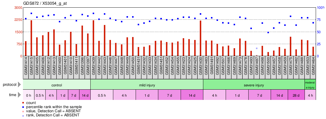 Gene Expression Profile