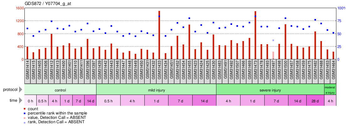 Gene Expression Profile