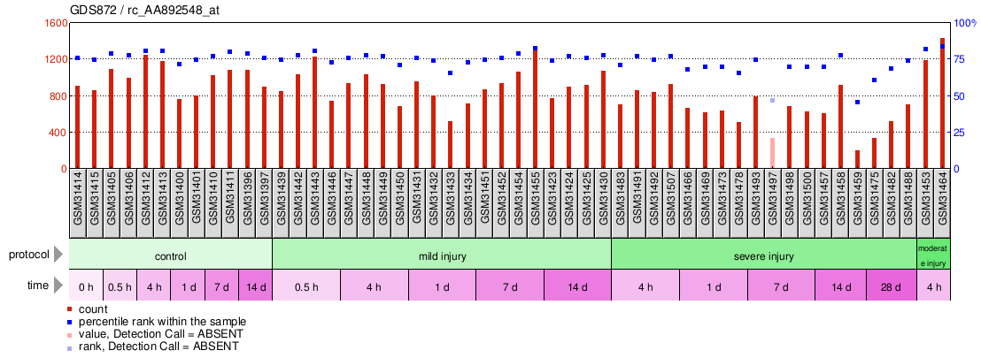 Gene Expression Profile