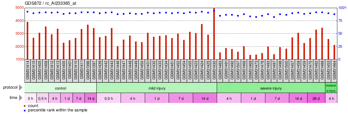 Gene Expression Profile