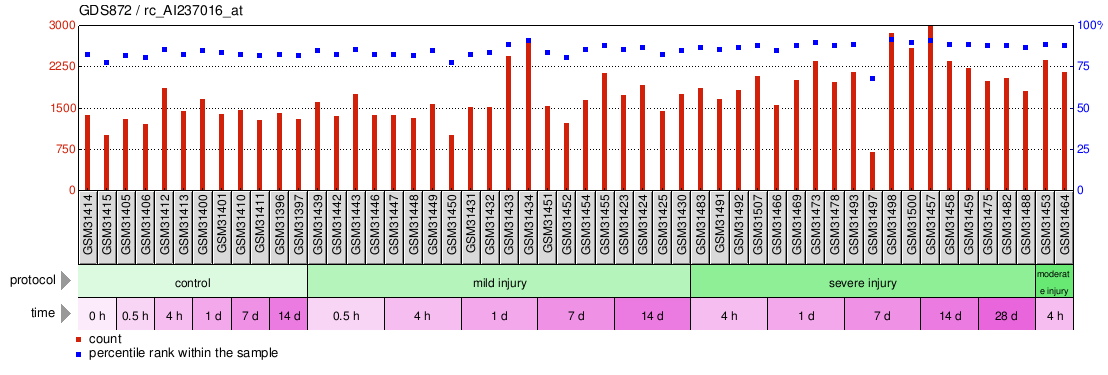 Gene Expression Profile