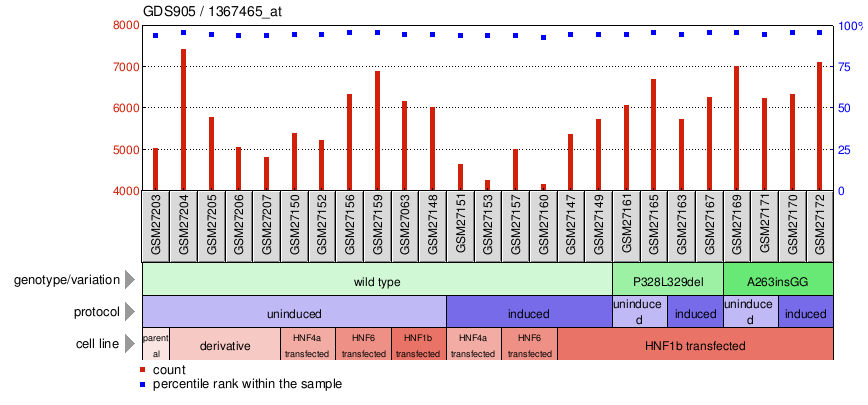 Gene Expression Profile