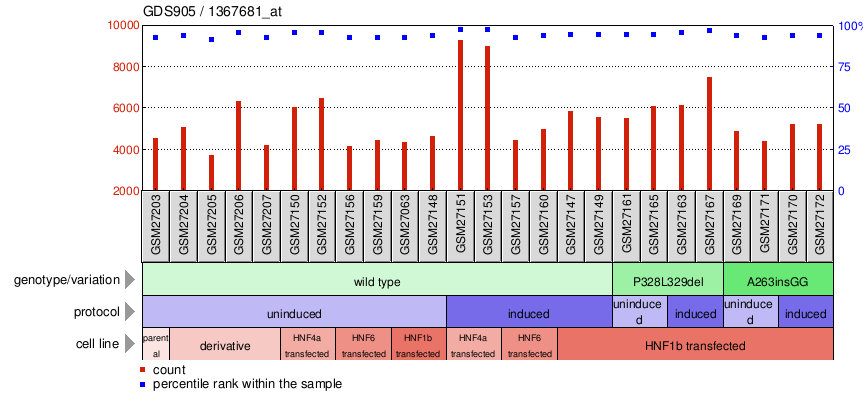 Gene Expression Profile